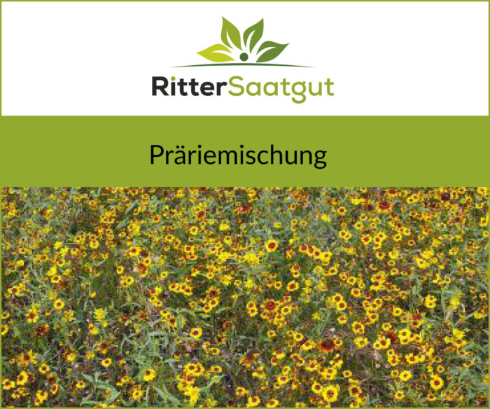 Nahaufnahme von einer bunten Blumenwiese mit der Überschrift Praeriemischung unter dem Firmenlogo von Ritter Saatgut