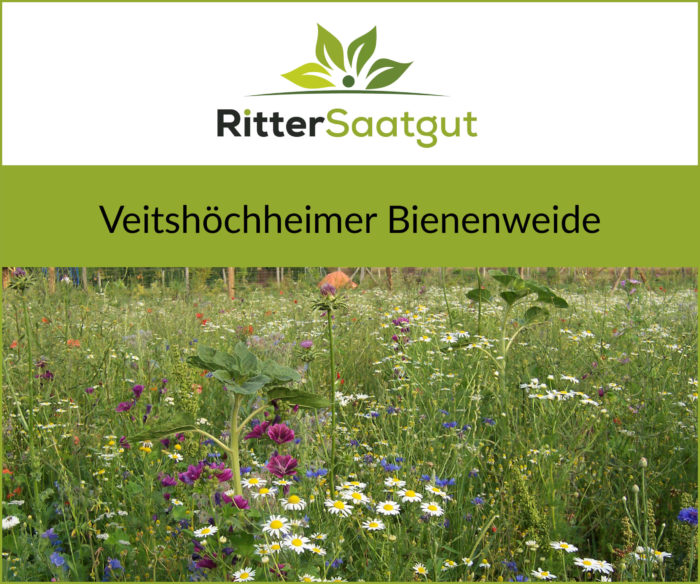 Nahaufnahme von einer bunten Blumenwiese mit der Überschrift Veitshöchheimer Bienenweide unter dem Firmenlogo von Ritter Saatgut