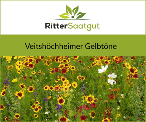 Veitershöchheimer Gelbtöne