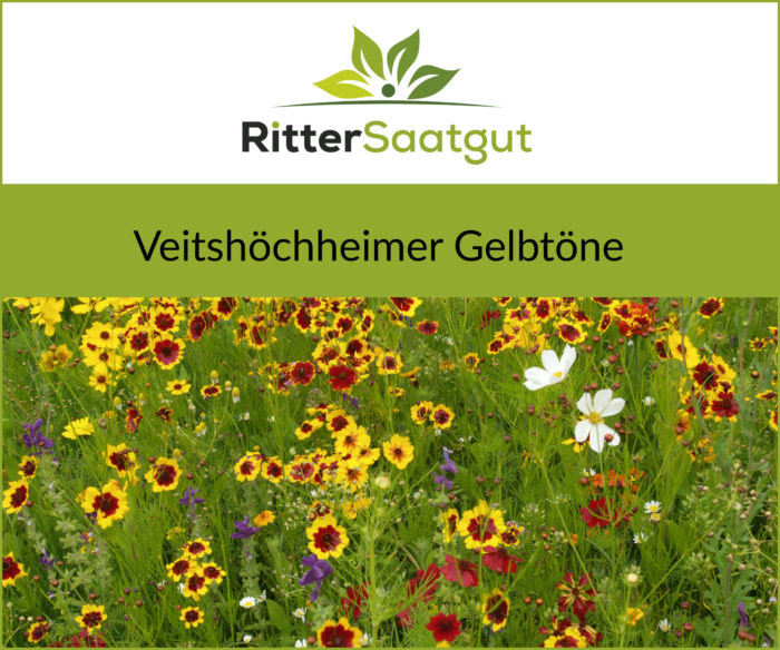 Veitershöchheimer Gelbtöne