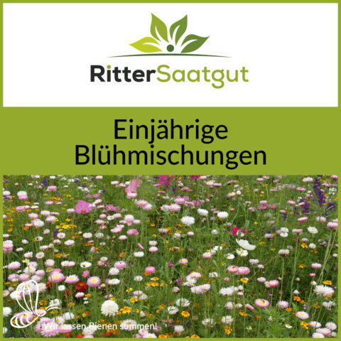Einjährige Blühmischungen