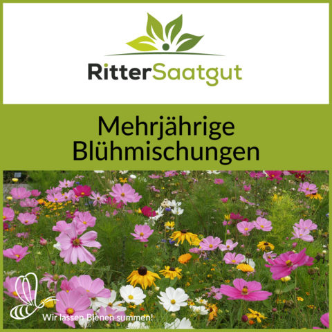 Mehrjährige Blühmischungen