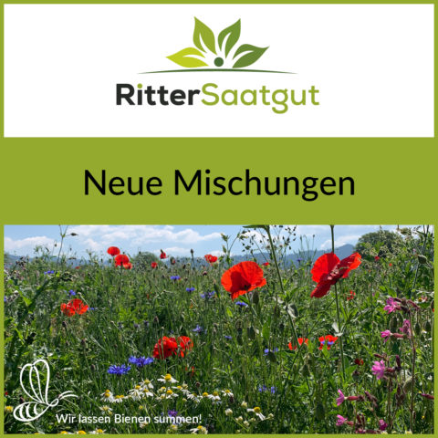 Neue Mischungen