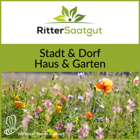 Stadt und Dorf / Haus und Garten