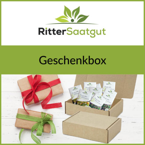 Geschenkbox mit Saatguttütchen