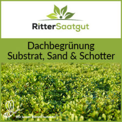 Dachbegrünung, Substrat, Sand & Schotter