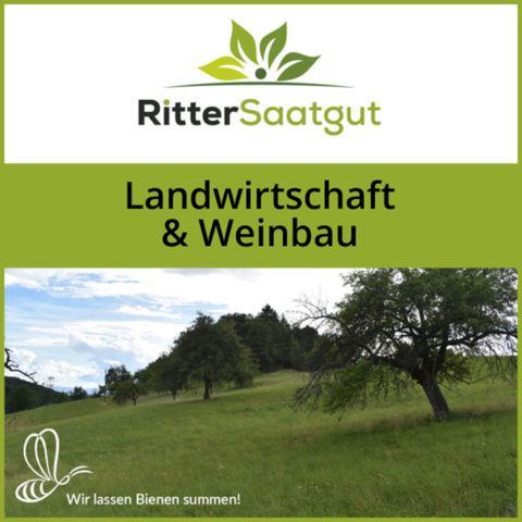 Landwirtschaft & Weinbau