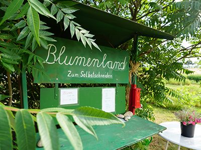 Blumenland1-Ritter-Saatgut